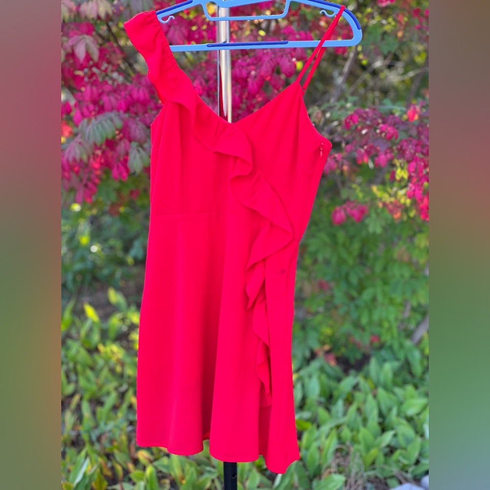 BB Dakota Casual Red Dress